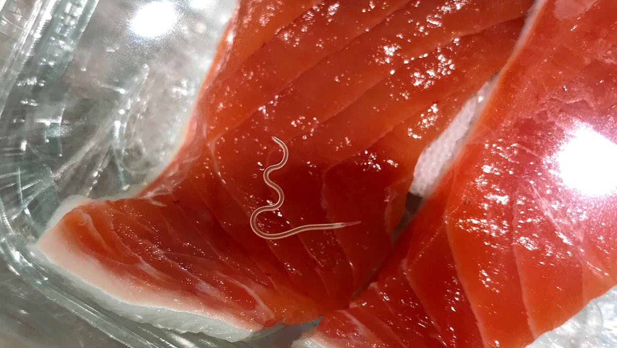 Worms In Meat: 8 Parasites Lurking In Your Food