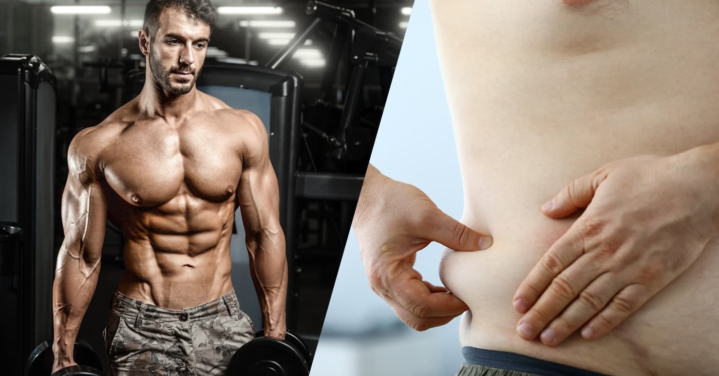 Can Fat Turn Into Muscle