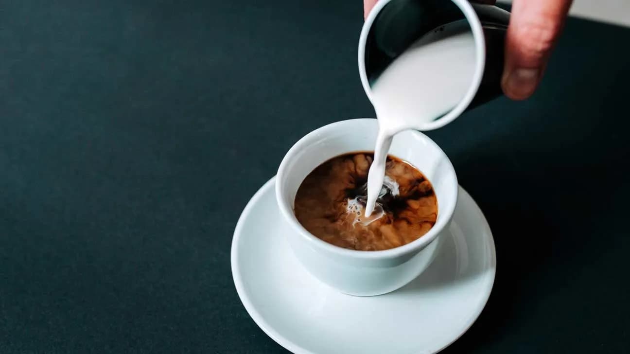 Coffee Creamer