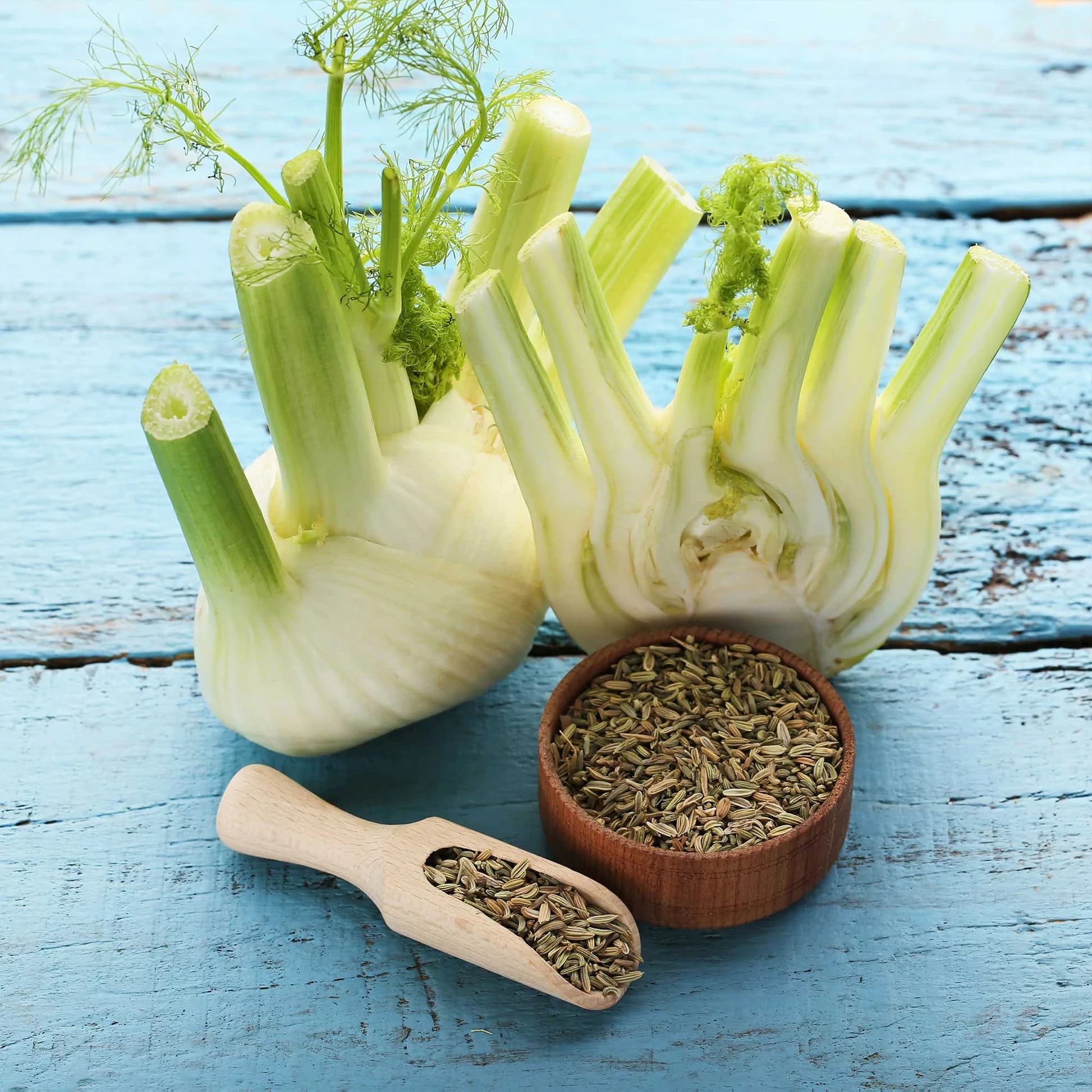 fennel
