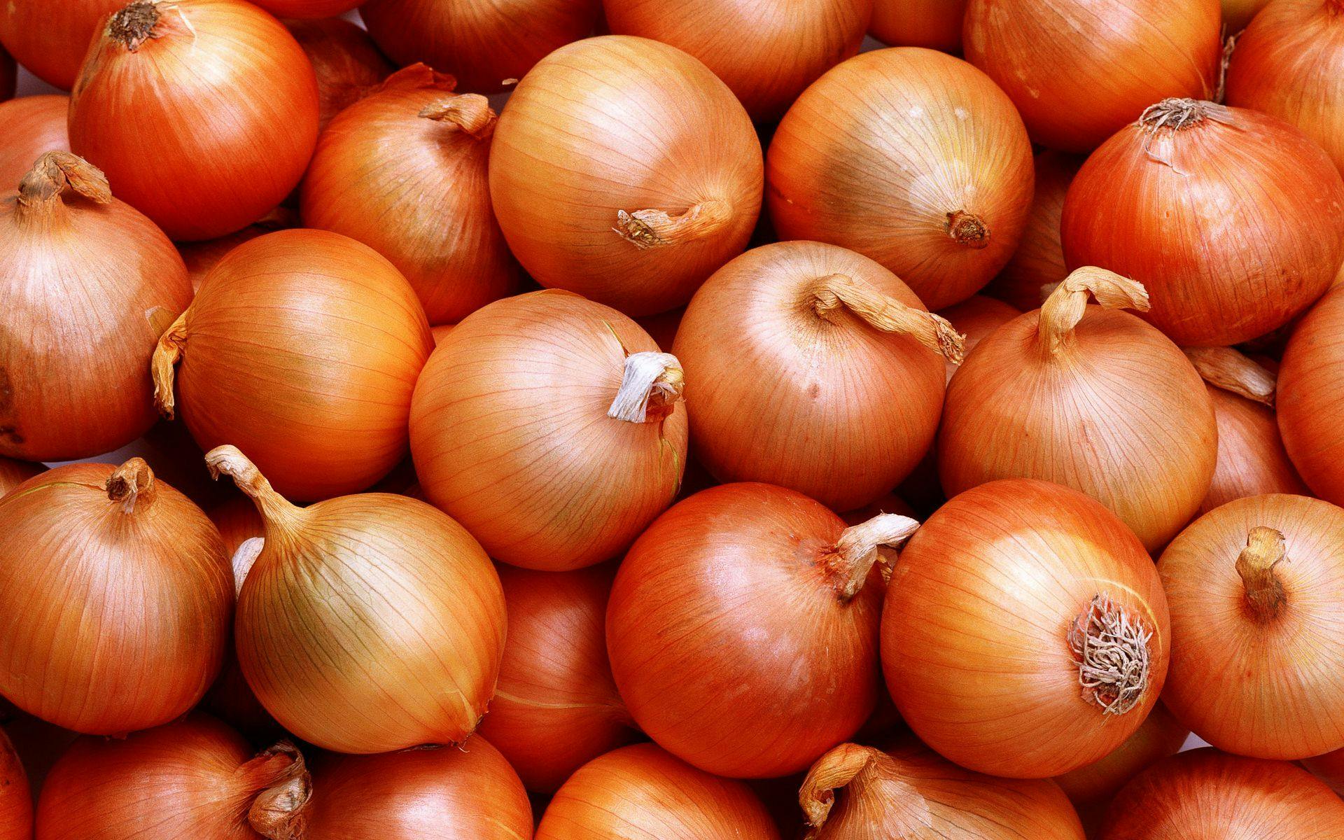 An Overview of Onion Calories