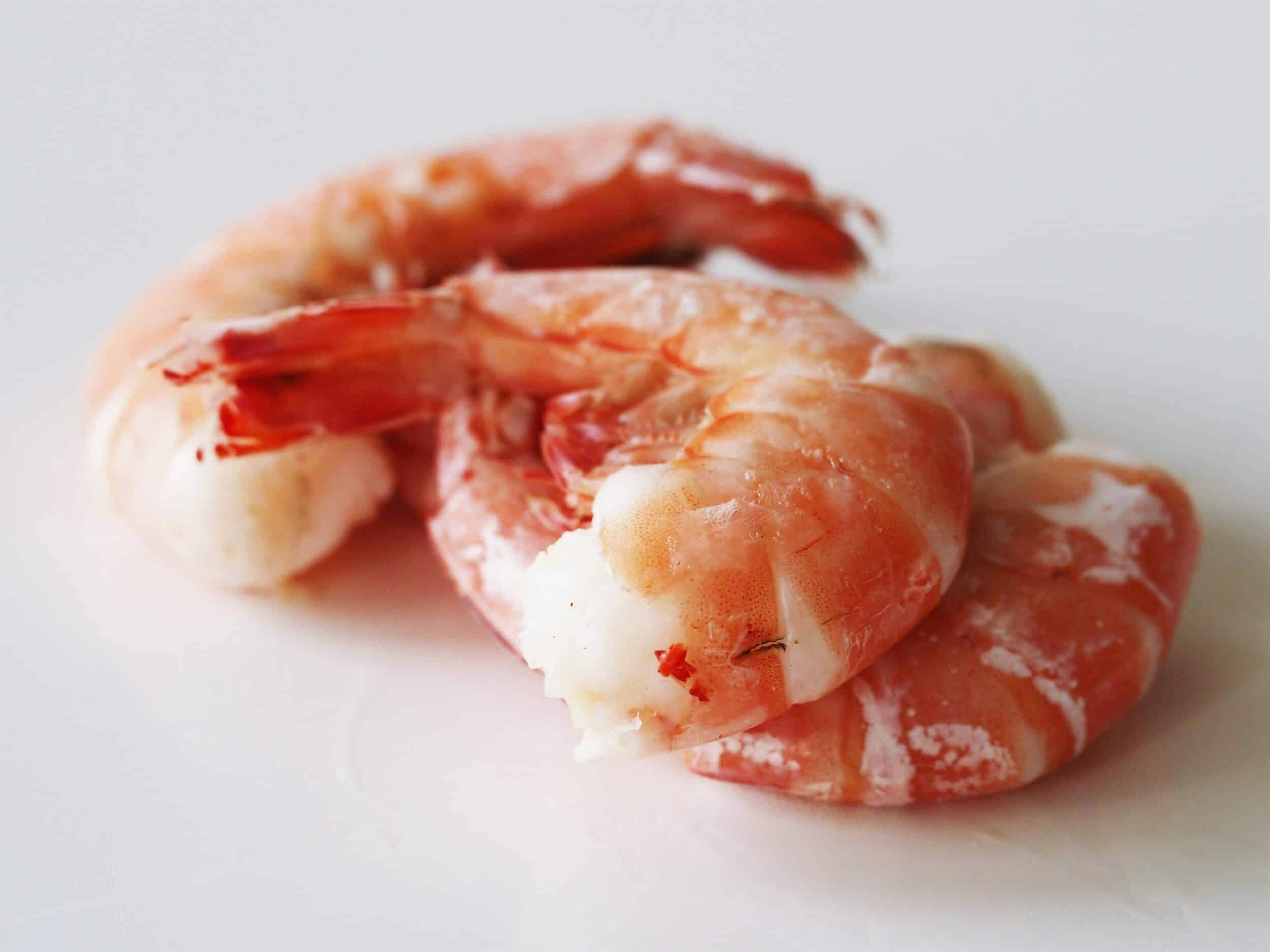  A sufficient Guide To How Many Calories In Shrimp