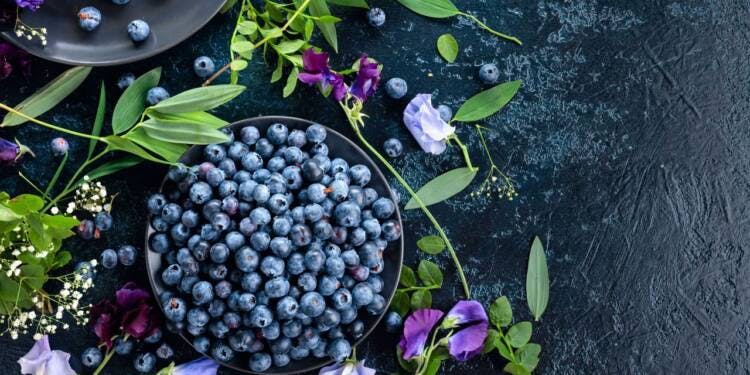 Blueberries Nutrition 