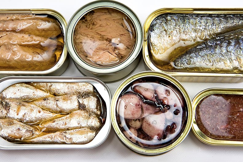 Fish Preserved In Cans