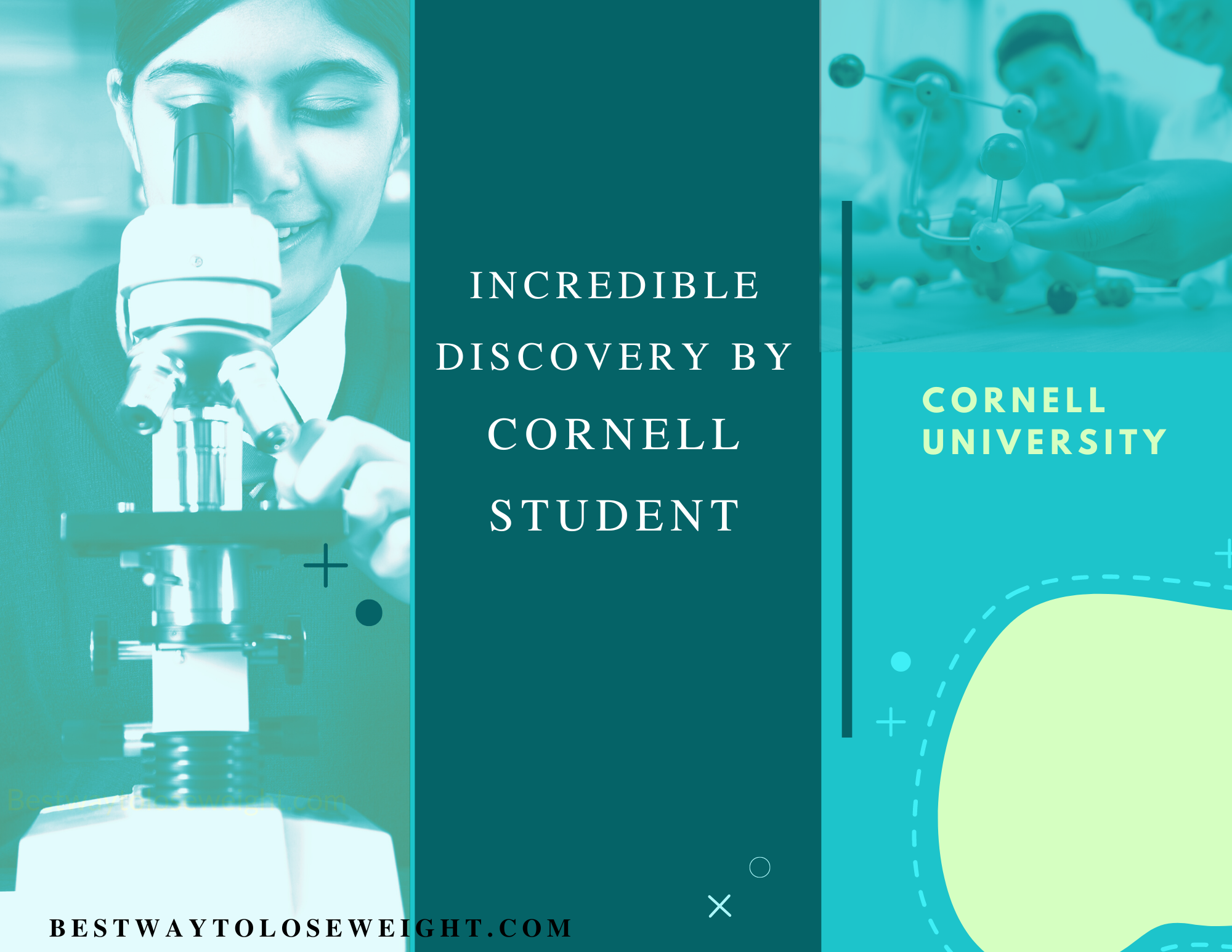 Incredible Discovery By Cornell Student