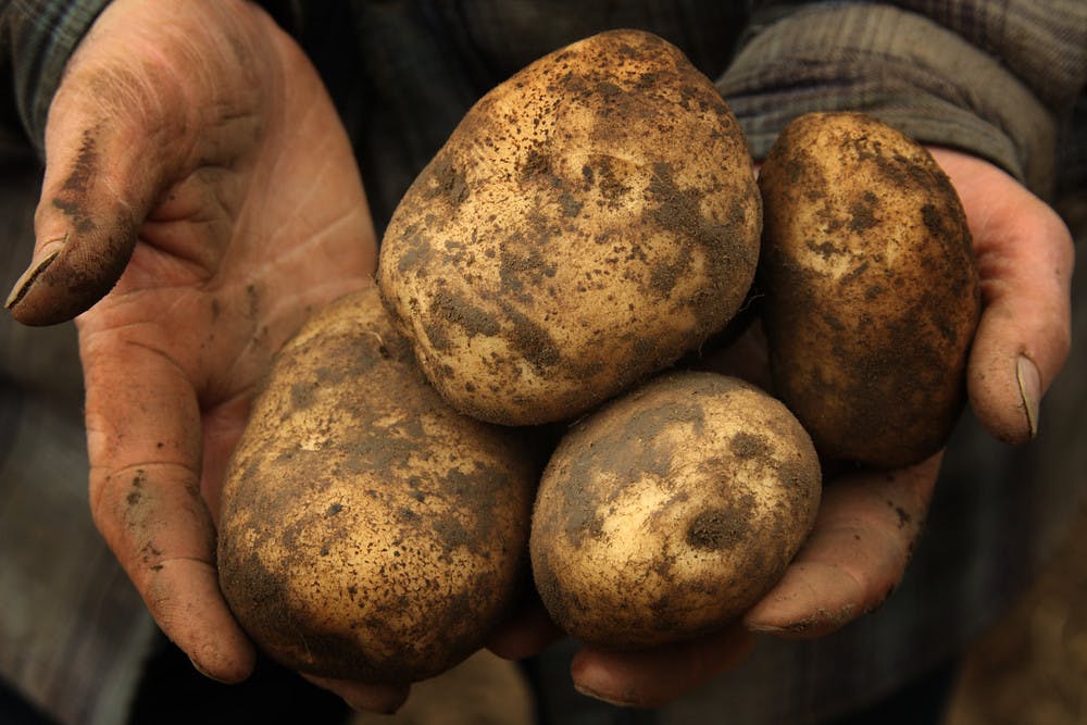 Organic Purchase Potatoes