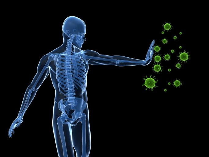 Promoting The Health Of The Immune System
