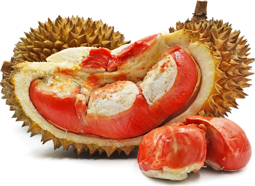 Red Durian Fruit (Durio)