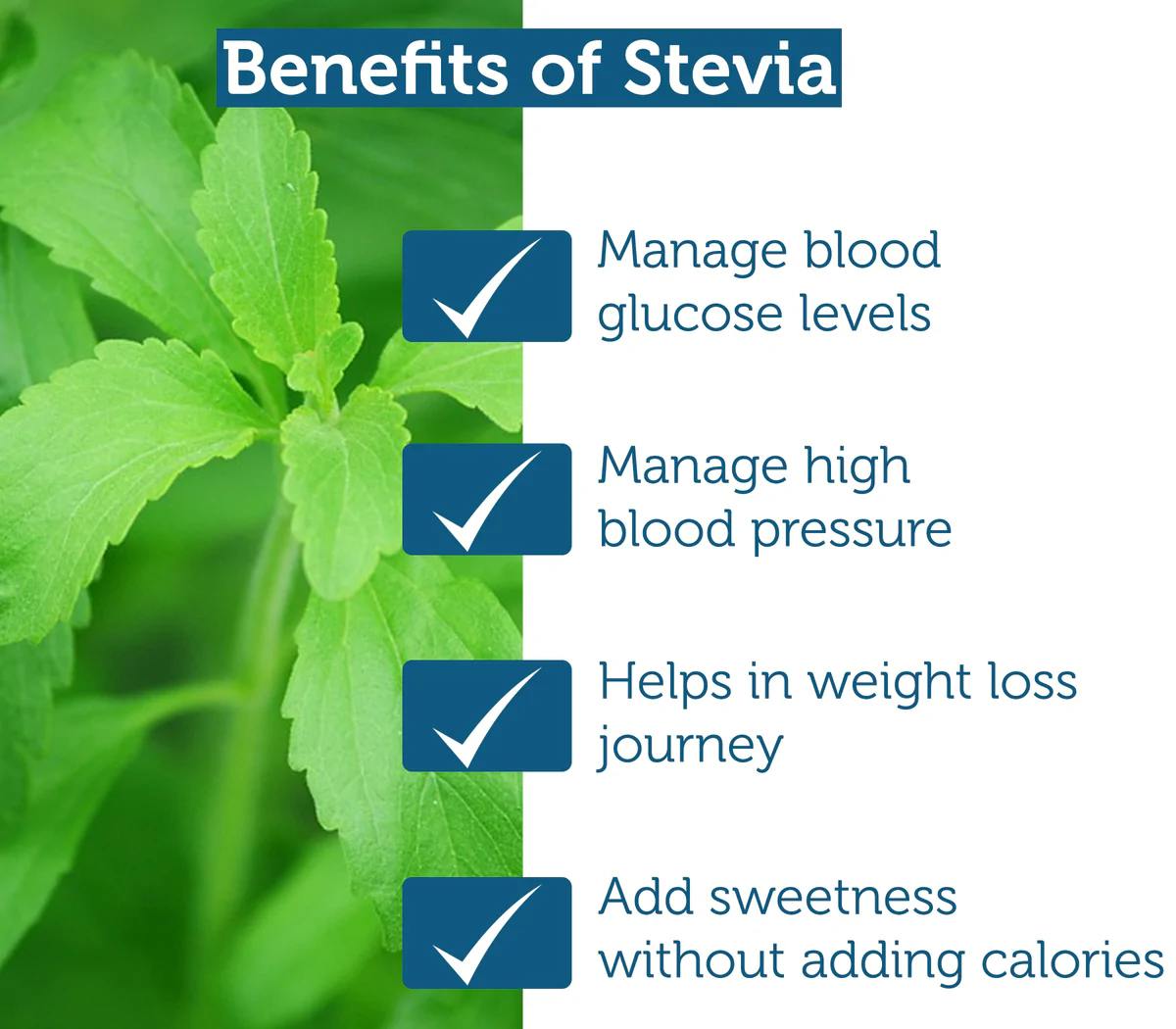 Stevia effect