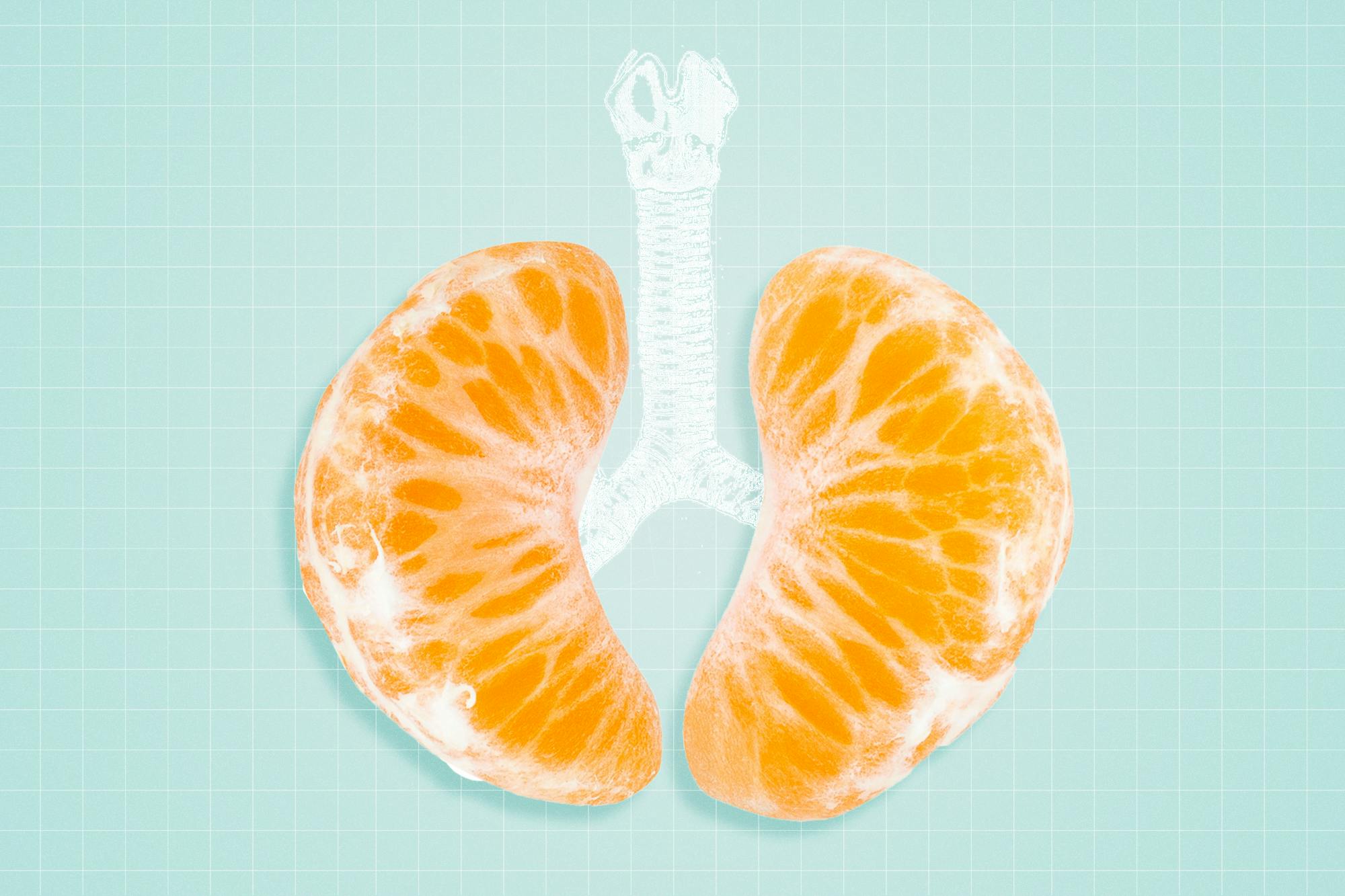 The Best Food For Lungs Guide, Number 18 Will Shock You  