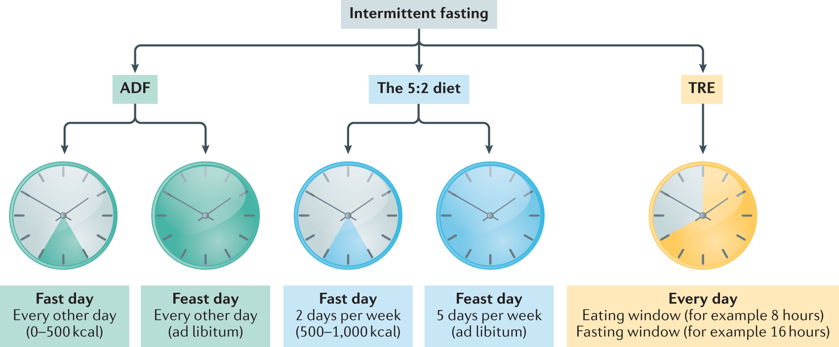  Those Caused By Intermittent Fasting