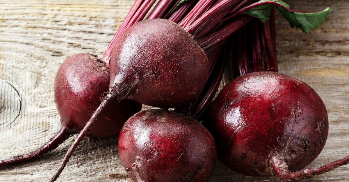 beet  May Be Beneficial to The Digestive System