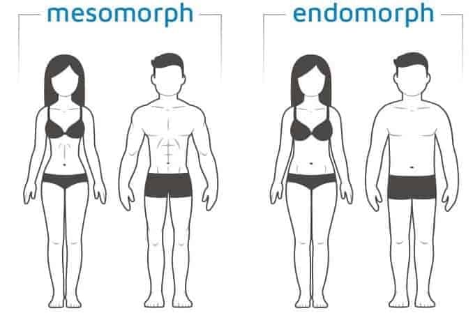 endomorph