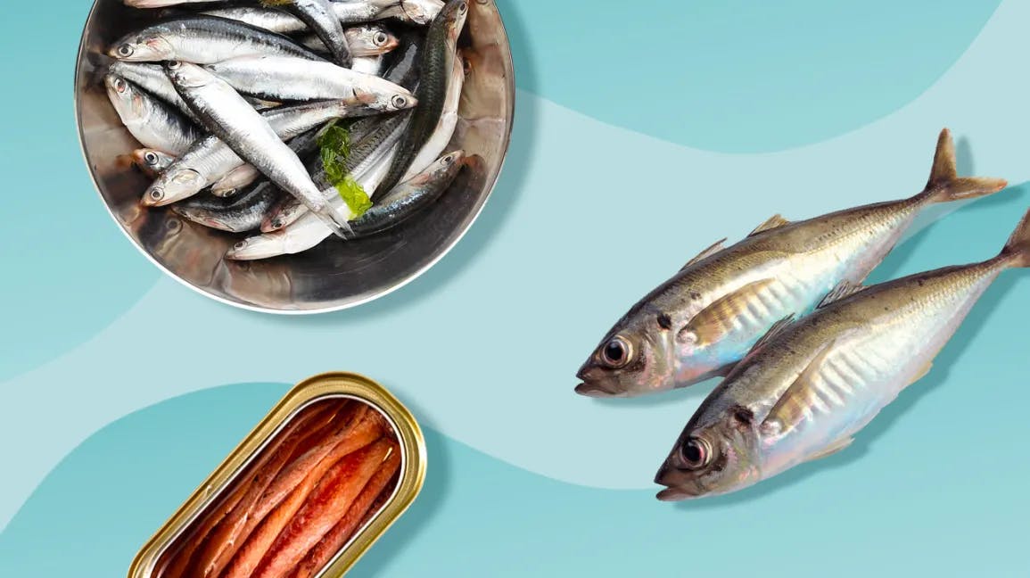  seafood and fish such as sardines,